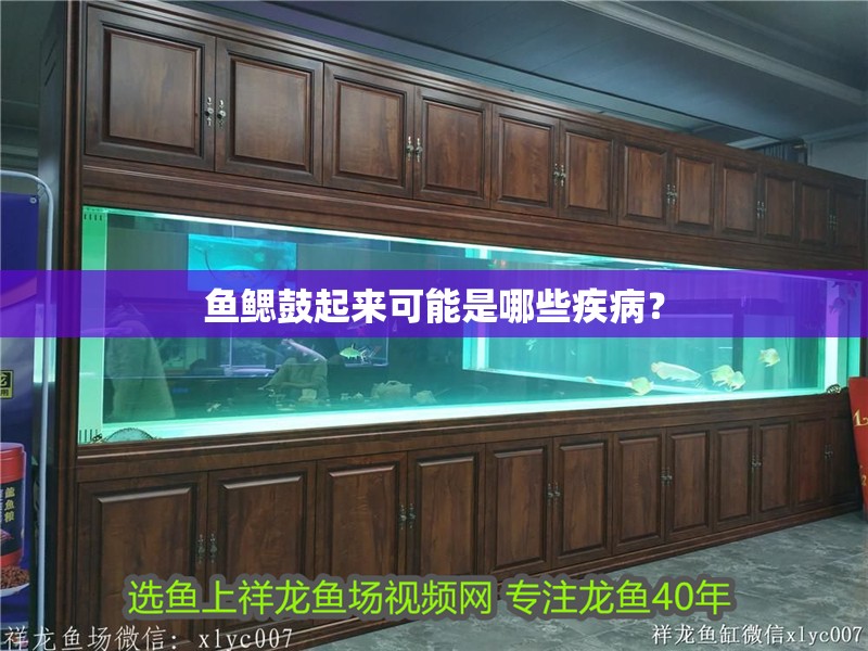 魚鰓鼓起來可能是哪些疾病？ 魚鰓鼓起來可能是哪些疾病？ 龍魚百科