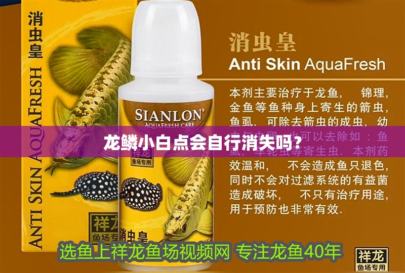 龍鱗小白點會自行消失嗎？