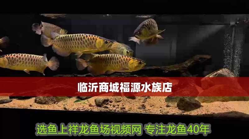 臨沂商城福源水族店
