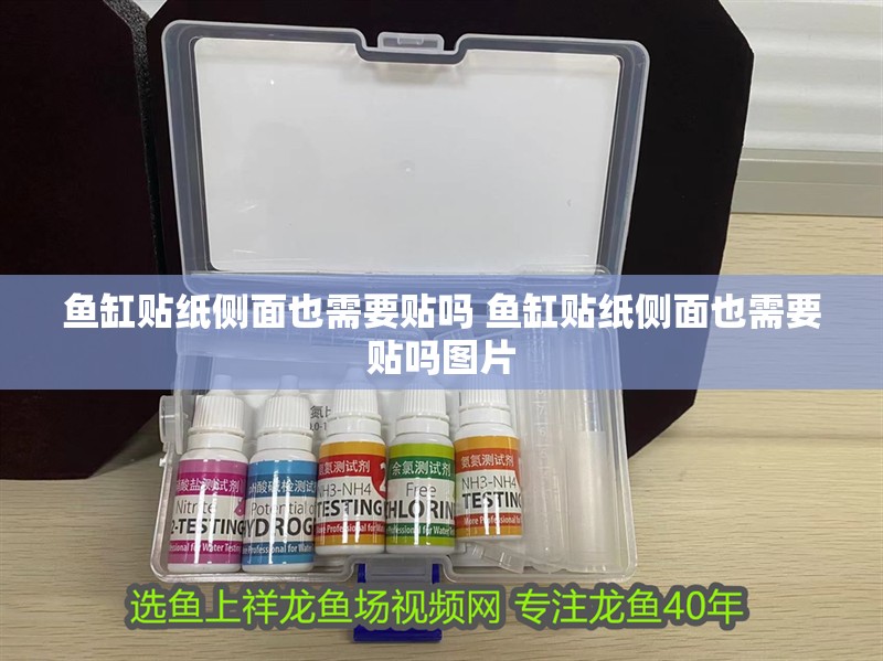 魚缸貼紙側(cè)面也需要貼嗎 魚缸貼紙側(cè)面也需要貼嗎圖片