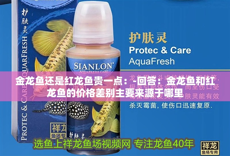 金龍魚還是紅龍魚貴一點：-回答：金龍魚和紅龍魚的價格差別主要來源于哪里