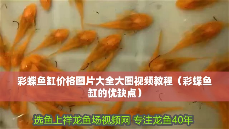 彩蝶魚缸價格圖片大全大圖視頻教程（彩蝶魚缸的優缺點） 彩蝶魚缸價格圖片大全大圖視頻教程（彩蝶魚缸的優缺點） 觀賞魚百科