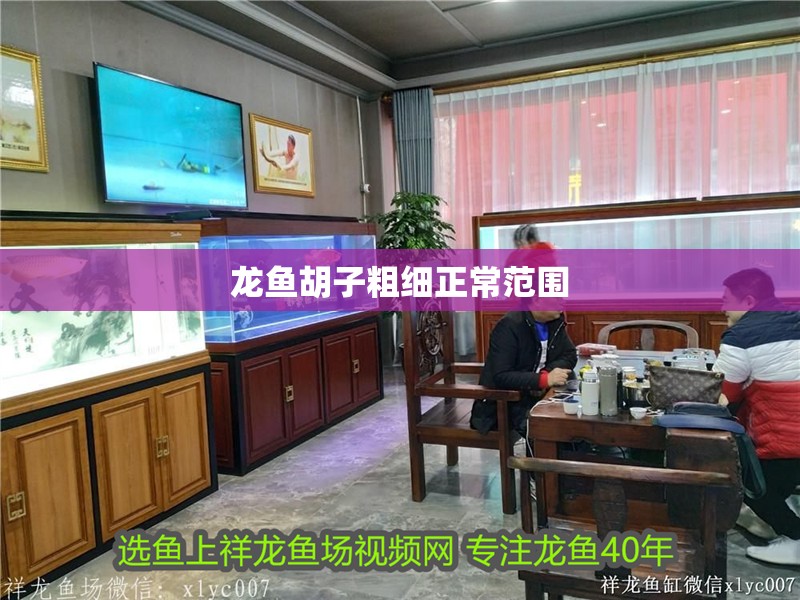 龍魚胡子粗細正常范圍