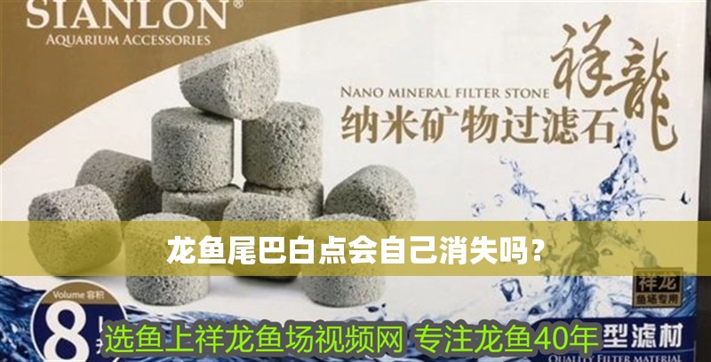 龍魚(yú)尾巴白點(diǎn)會(huì)自己消失嗎？