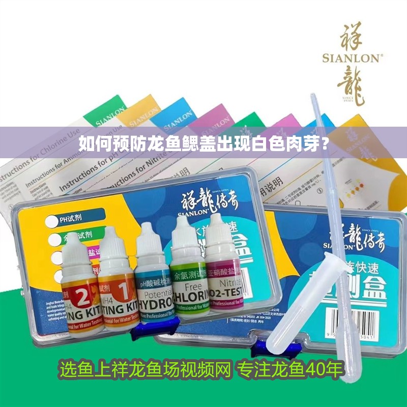 如何預(yù)防龍魚鰓蓋出現(xiàn)白色肉芽？