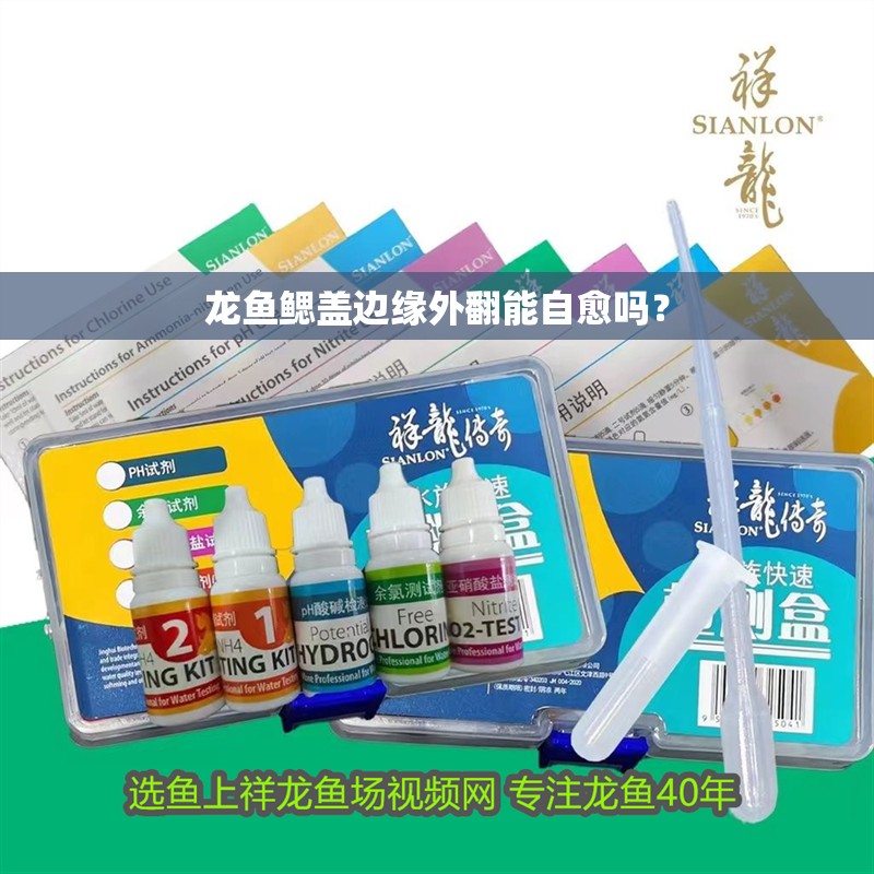 龍魚鰓蓋邊緣外翻能自愈嗎？