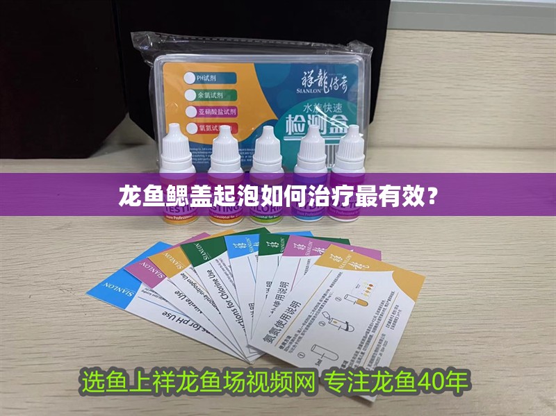 龍魚鰓蓋起泡如何治療最有效？