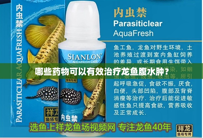 哪些藥物可以有效治療龍魚腹水腫？