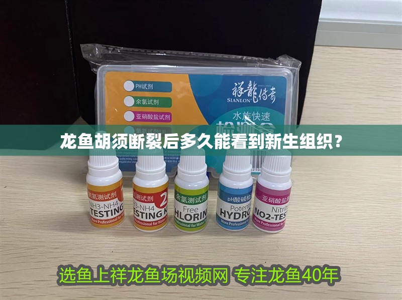 龍魚胡須斷裂后多久能看到新生組織？