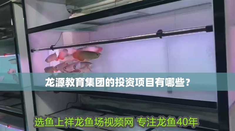 龍?jiān)唇逃瘓F(tuán)的投資項(xiàng)目有哪些？