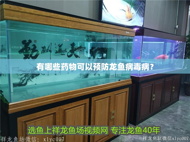 有哪些藥物可以預(yù)防龍魚病毒病？