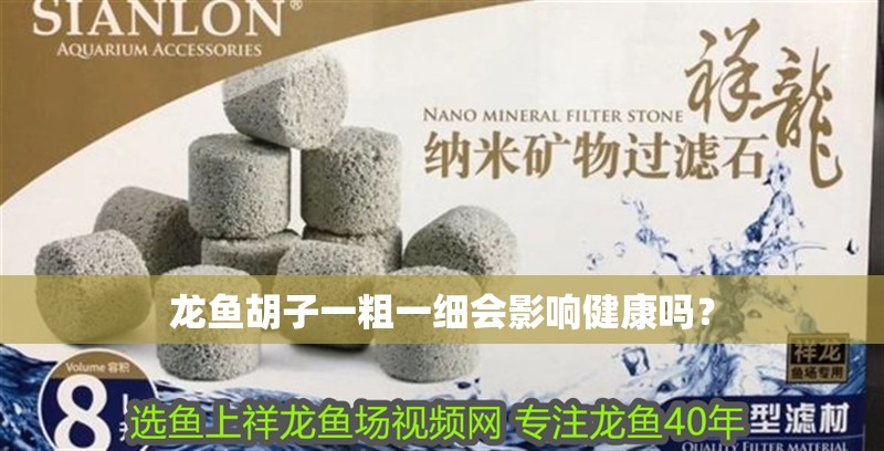 龍魚胡子一粗一細會影響健康嗎？