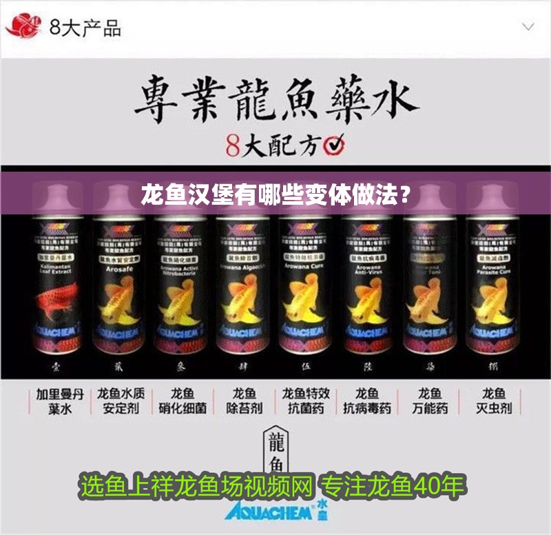 龍魚漢堡有哪些變體做法？