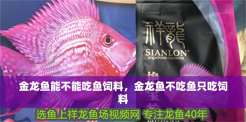 魚缸用增氧泵價格是多少:魚缸增氧機-xtrac增氧機-xtrac增氧機 金龍魚能不能吃魚飼料,金龍魚不吃魚只吃飼料 觀賞魚百科 金龍魚能不能吃魚飼料,金龍魚不吃魚只吃飼料 金龍魚能不能吃魚飼料,金龍魚不吃魚只吃飼料 觀賞魚百科