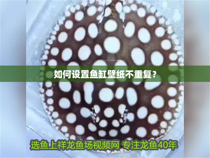 如何設置魚缸壁紙不重復？