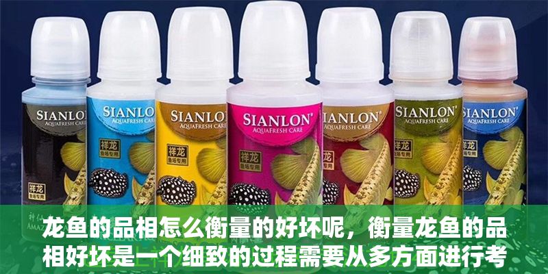 龍魚的品相怎么衡量的好壞呢，衡量龍魚的品相好壞是一個細致的過程需要從多方面進行考量