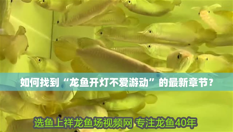 如何找到“龍魚開燈不愛游動”的最新章節？