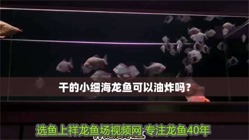 干的小細海龍魚可以油炸嗎？