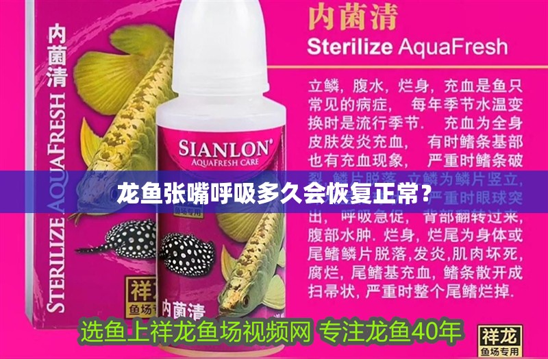 龍魚張嘴呼吸多久會恢復正常？