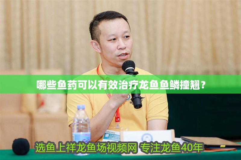 哪些魚藥可以有效治療龍魚魚鱗撞翹？
