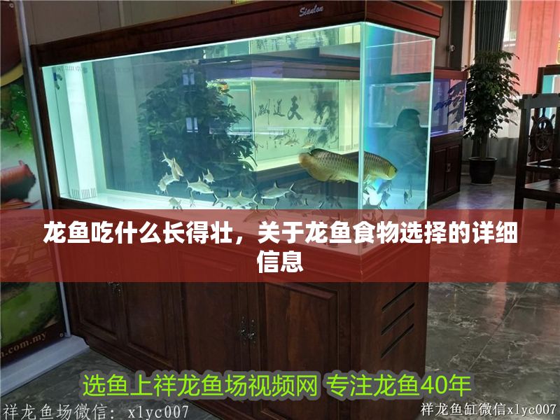 龍魚吃什么長得壯，關于龍魚食物選擇的詳細信息 龍魚吃什么長得壯，關于龍魚食物選擇的詳細信息 龍魚百科 第2張