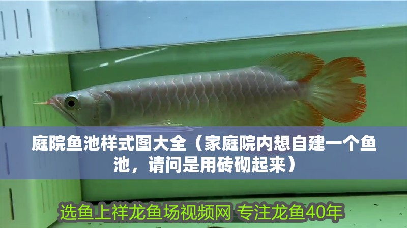 庭院魚池樣式圖大全（家庭院內想自建一個魚池，請問是用磚砌起來）