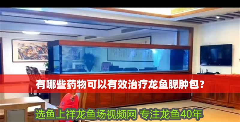 有哪些藥物可以有效治療龍魚腮腫包？