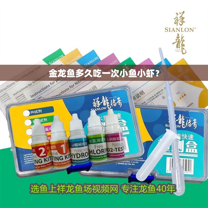 金龍魚多久吃一次小魚小蝦？