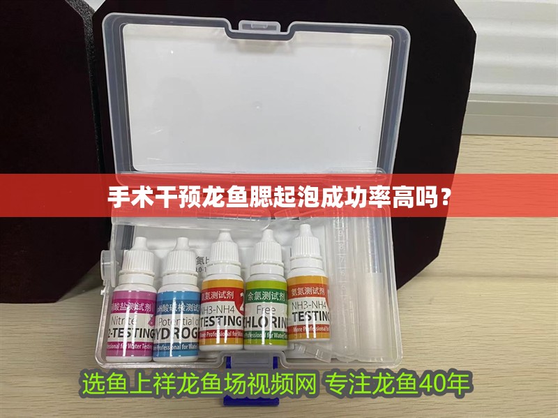 手術干預龍魚腮起泡成功率高嗎？ 手術干預龍魚腮起泡成功率高嗎？ 龍魚百科