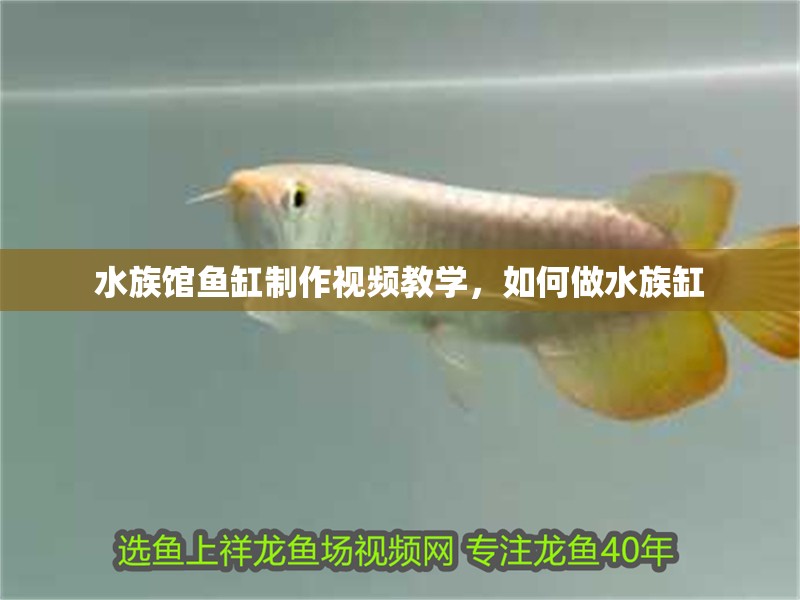 水族館魚缸制作視頻教學(xué)，如何做水族缸