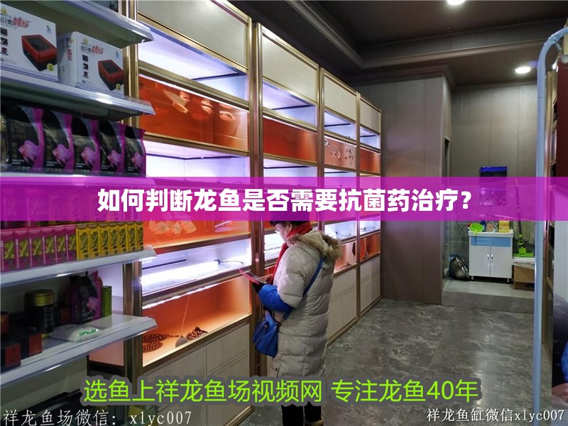 如何判斷龍魚是否需要抗菌藥治療？