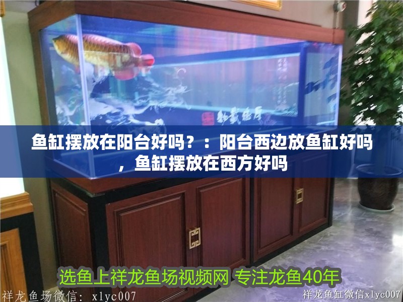 魚缸擺放在陽臺好嗎？：陽臺西邊放魚缸好嗎，魚缸擺放在西方好嗎 魚缸擺放在陽臺好嗎？：陽臺西邊放魚缸好嗎，魚缸擺放在西方好嗎 魚缸百科