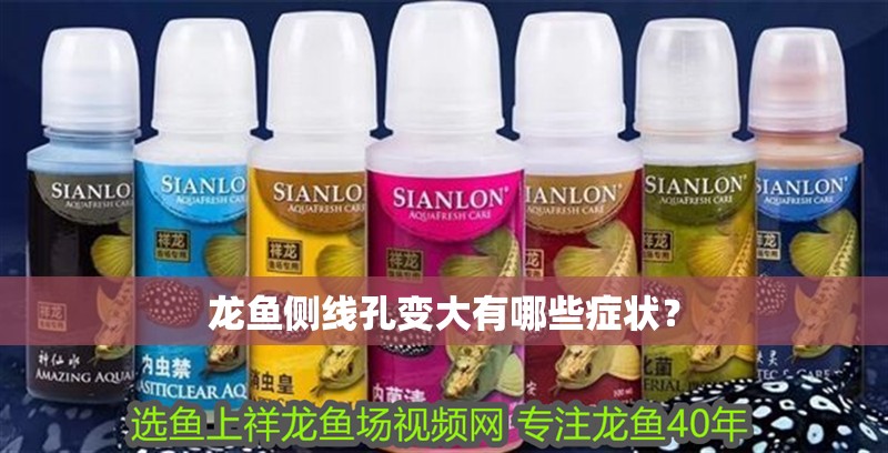 龍魚側線孔變大有哪些癥狀？