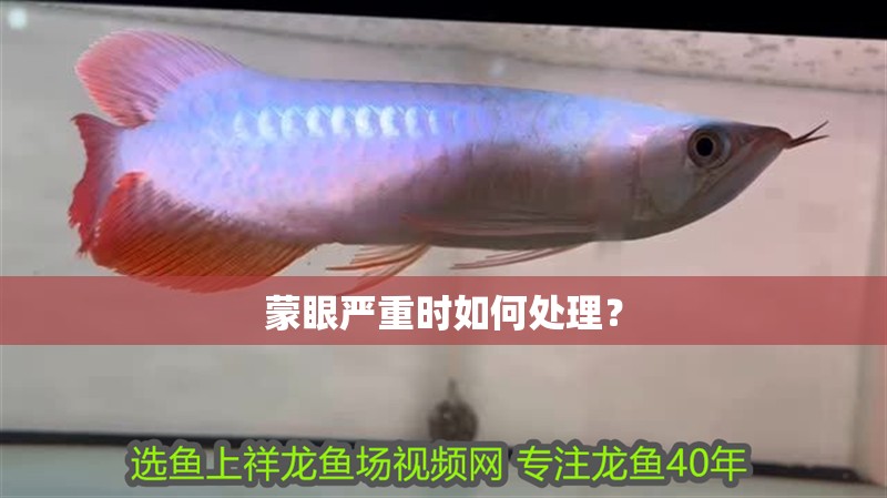 蒙眼嚴重時如何處理？