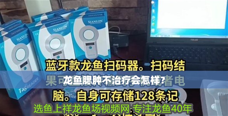 龍魚腮腫不治療會怎樣？