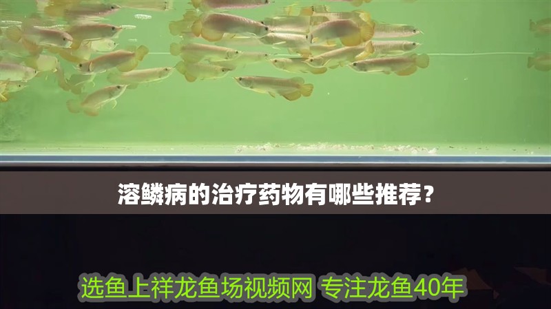 溶鱗病的治療藥物有哪些推薦？