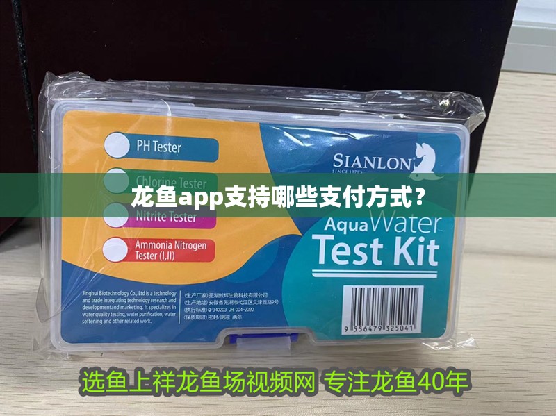 龍魚app支持哪些支付方式？