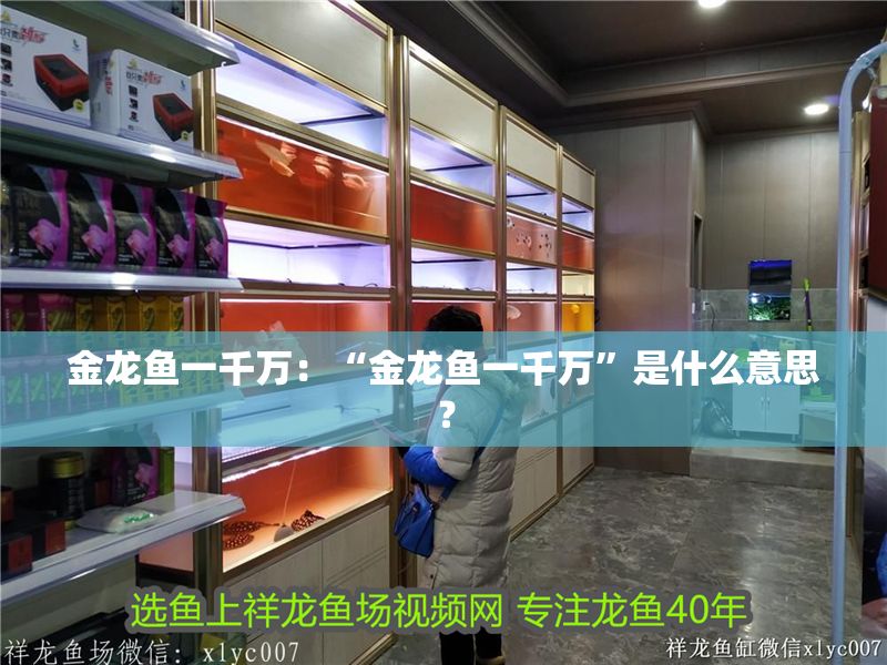 金龍魚一千萬(wàn)：“金龍魚一千萬(wàn)”是什么意思？ 金龍魚一千萬(wàn)：“金龍魚一千萬(wàn)”是什么意思？ 龍魚百科 第2張