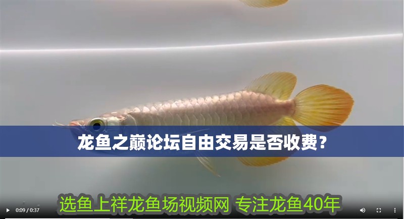 龍魚之巔論壇自由交易是否收費？