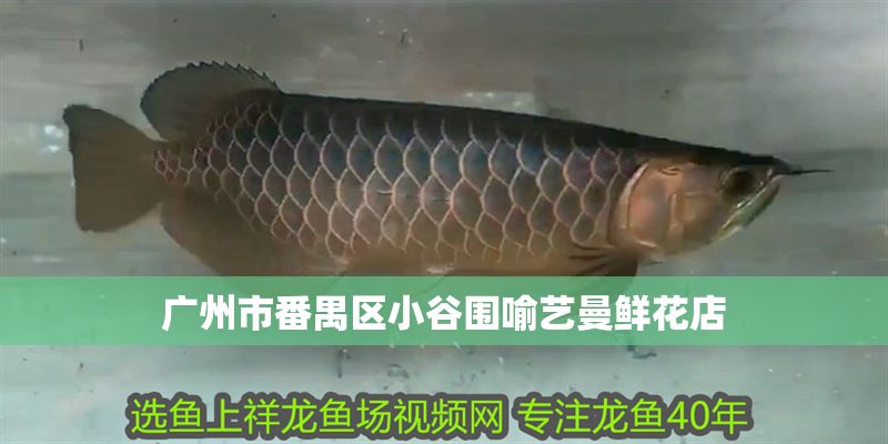 廣州市番禺區(qū)小谷圍喻藝曼鮮花店