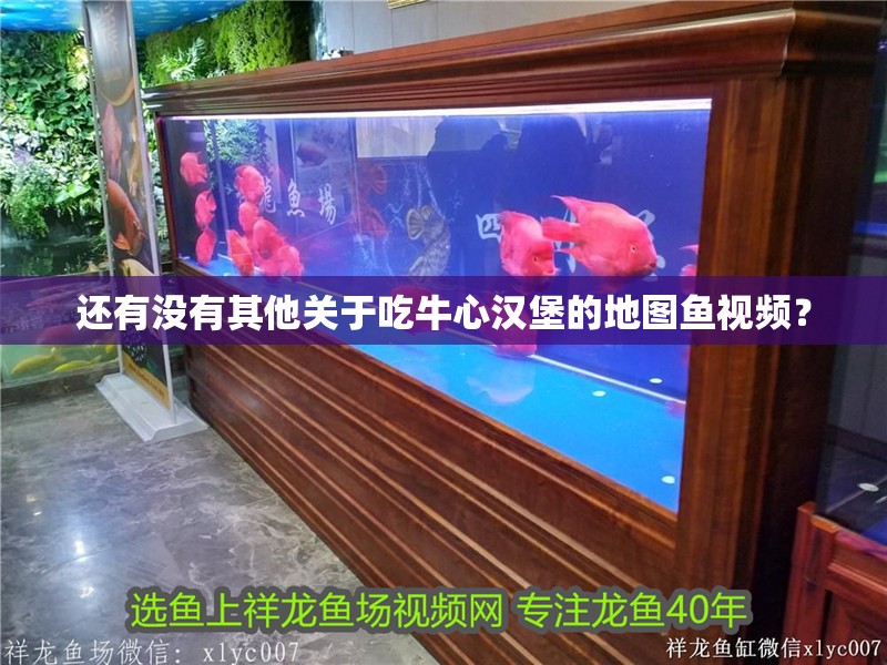 還有沒有其他關于吃牛心漢堡的地圖魚視頻？