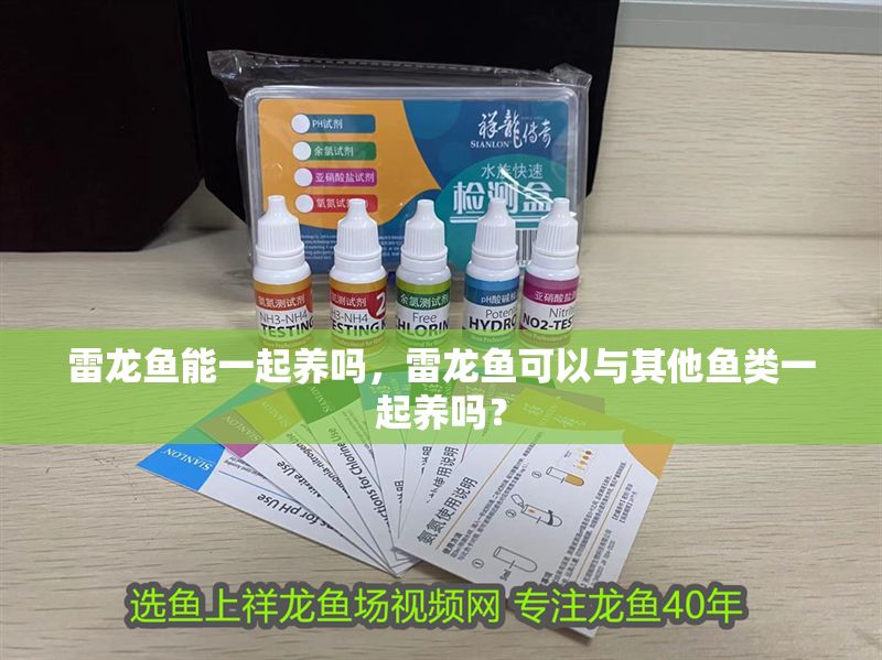 雷龍魚能一起養嗎，雷龍魚可以與其他魚類一起養嗎？