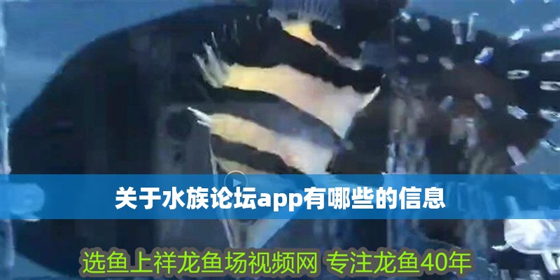 關于水族論壇app有哪些的信息