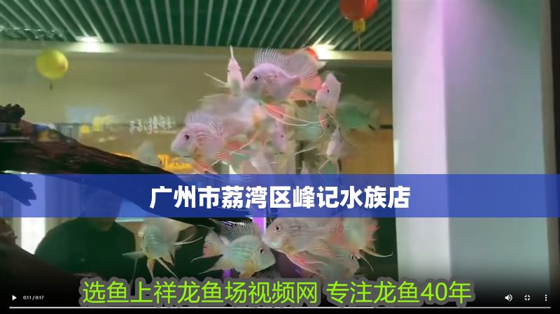 廣州市荔灣區峰記水族店