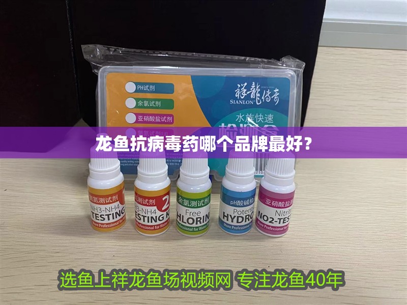 龍魚抗病毒藥哪個品牌最好？