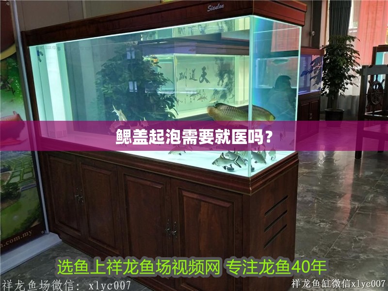 鰓蓋起泡需要就醫(yī)嗎？