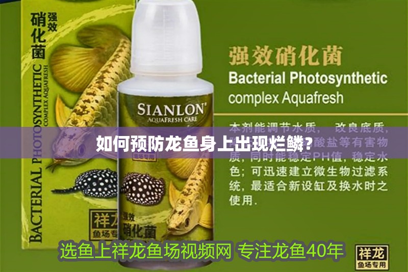 如何預(yù)防龍魚身上出現(xiàn)爛鱗？