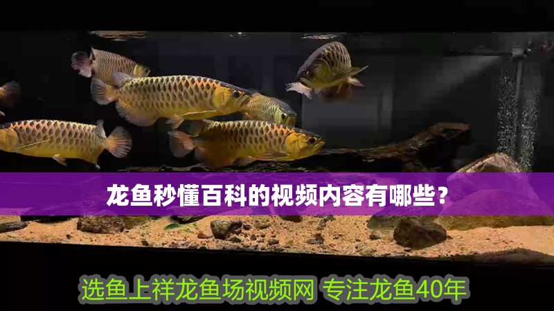 龍魚秒懂百科的視頻內容有哪些？