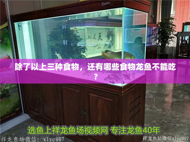 除了以上三種食物，還有哪些食物龍魚不能吃？