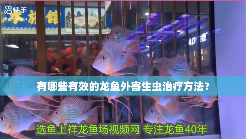 有哪些有效的龍魚外寄生蟲治療方法？